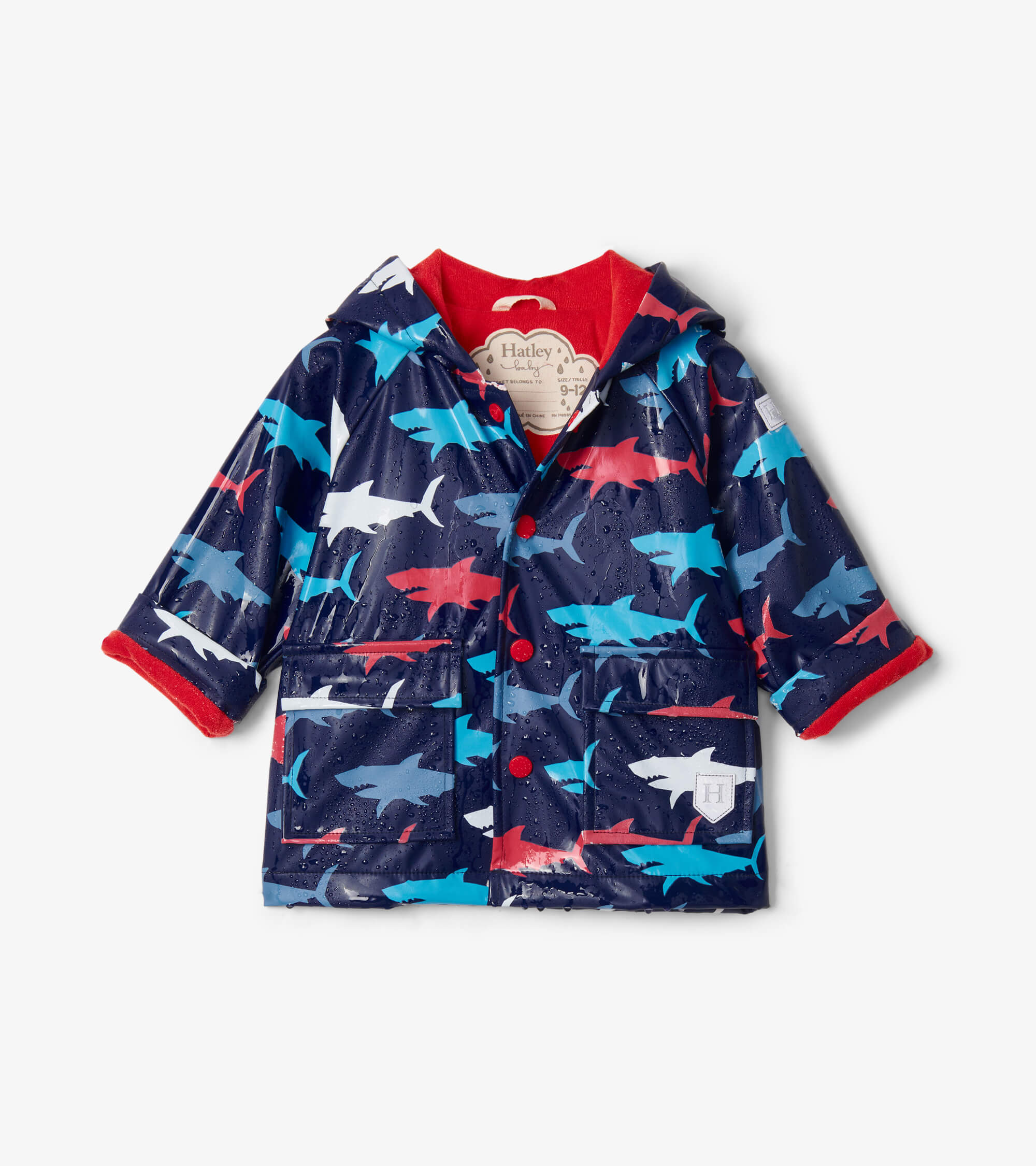 Hatley Baby Blue Hungry Sharks Raincoat Frank and Polly Kids Clothing