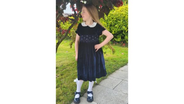 little larks alice dress 2