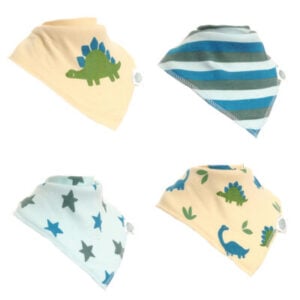 ziggle 4pk dino and stars