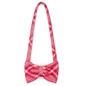 a dee laura check bow bag
