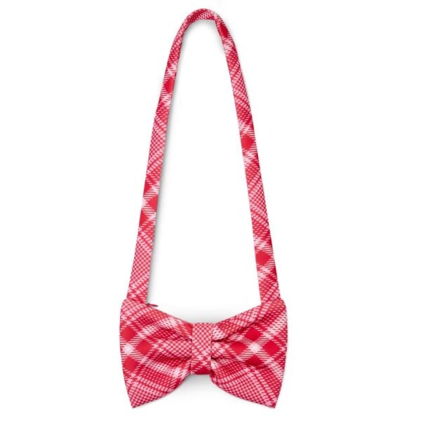 a dee laura check bow bag