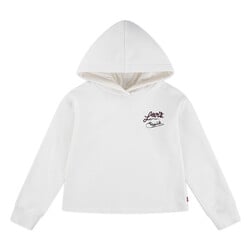 levi's country western hoodie