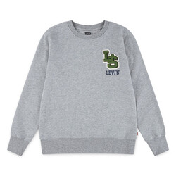 Levi's Grey Crew Neck Sweater with Green Logo